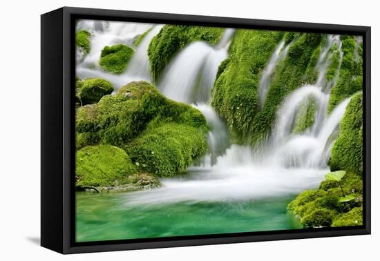 Natural Spring Waterfall Surrounded by Moss and Lush Foliage.-Liang Zhang-Framed Stretched Canvas