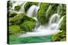 Natural Spring Waterfall Surrounded by Moss and Lush Foliage.-Liang Zhang-Stretched Canvas