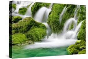 Natural Spring Waterfall Surrounded by Moss and Lush Foliage.-Liang Zhang-Stretched Canvas