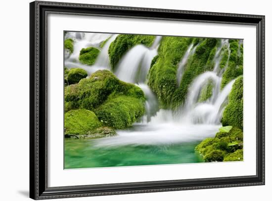 Natural Spring Waterfall Surrounded by Moss and Lush Foliage.-Liang Zhang-Framed Photographic Print