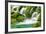 Natural Spring Waterfall Surrounded by Moss and Lush Foliage.-Liang Zhang-Framed Photographic Print