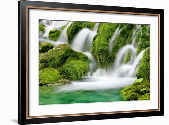 Natural Spring Waterfall Surrounded by Moss and Lush Foliage.-Liang Zhang-Framed Photographic Print