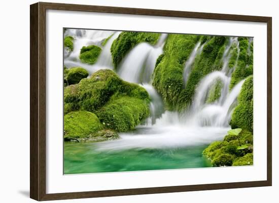 Natural Spring Waterfall Surrounded by Moss and Lush Foliage.-Liang Zhang-Framed Photographic Print