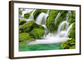 Natural Spring Waterfall Surrounded by Moss and Lush Foliage.-Liang Zhang-Framed Photographic Print