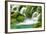 Natural Spring Waterfall Surrounded by Moss and Lush Foliage.-Liang Zhang-Framed Photographic Print