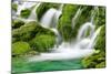 Natural Spring Waterfall Surrounded by Moss and Lush Foliage.-Liang Zhang-Mounted Photographic Print