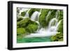 Natural Spring Waterfall Surrounded by Moss and Lush Foliage.-Liang Zhang-Framed Photographic Print