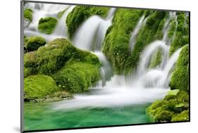 Natural Spring Waterfall Surrounded by Moss and Lush Foliage.-Liang Zhang-Mounted Photographic Print