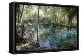 Natural Springs at Silver Springs State Park, Johnny Weismuller Tarzan films location, Florida, USA-Ethel Davies-Framed Stretched Canvas