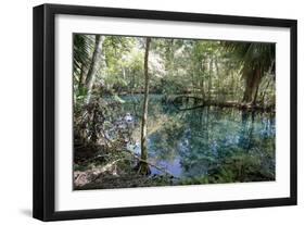 Natural Springs at Silver Springs State Park, Johnny Weismuller Tarzan films location, Florida, USA-Ethel Davies-Framed Photographic Print