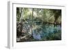 Natural Springs at Silver Springs State Park, Johnny Weismuller Tarzan films location, Florida, USA-Ethel Davies-Framed Photographic Print