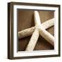 Natural Starfish-Marlana Semenza-Framed Art Print