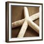 Natural Starfish-Marlana Semenza-Framed Art Print