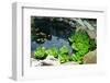 Natural Stone Pond as Landscaping Design Element-elenathewise-Framed Photographic Print