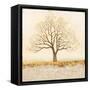 Natural Transformation-James Wiens-Framed Stretched Canvas