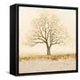 Natural Transformation-James Wiens-Framed Stretched Canvas