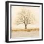 Natural Transformation-James Wiens-Framed Art Print