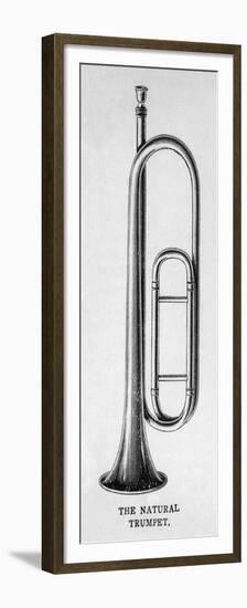 Natural Trumpet on Own-null-Framed Premium Giclee Print