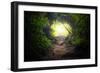 Natural Tunnel in Tropical Jungle Forest. Road Path Way through Lush, Foliage and Trees of Evergree-SergWSQ-Framed Photographic Print