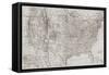Natural US Map-Dan Meneely-Framed Stretched Canvas