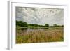 Natural Wetlands at Sibley State Park, Minnesota-Wolterk-Framed Photographic Print