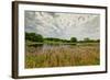 Natural Wetlands at Sibley State Park, Minnesota-Wolterk-Framed Photographic Print