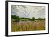 Natural Wetlands at Sibley State Park, Minnesota-Wolterk-Framed Photographic Print