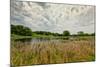 Natural Wetlands at Sibley State Park, Minnesota-Wolterk-Mounted Photographic Print