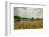 Natural Wetlands at Sibley State Park, Minnesota-Wolterk-Framed Photographic Print