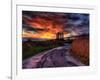 Nature 11-Brian Stevenson-Framed Photographic Print