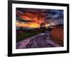 Nature 11-Brian Stevenson-Framed Photographic Print