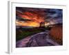 Nature 11-Brian Stevenson-Framed Photographic Print