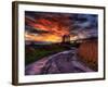 Nature 11-Brian Stevenson-Framed Photographic Print