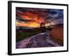 Nature 11-Brian Stevenson-Framed Photographic Print