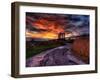 Nature 11-Brian Stevenson-Framed Photographic Print