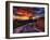 Nature 11-Brian Stevenson-Framed Photographic Print