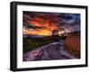 Nature 11-Brian Stevenson-Framed Photographic Print