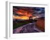 Nature 11-Brian Stevenson-Framed Photographic Print