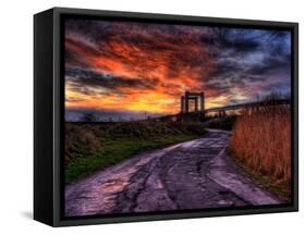 Nature 11-Brian Stevenson-Framed Stretched Canvas