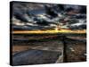 Nature 12-Brian Stevenson-Stretched Canvas