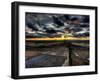 Nature 12-Brian Stevenson-Framed Photographic Print