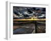 Nature 12-Brian Stevenson-Framed Photographic Print