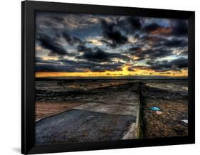 Nature 12-Brian Stevenson-Framed Photographic Print