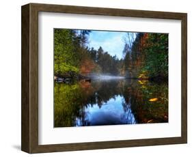 Nature 14-Brian Stevenson-Framed Photographic Print