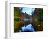 Nature 14-Brian Stevenson-Framed Photographic Print