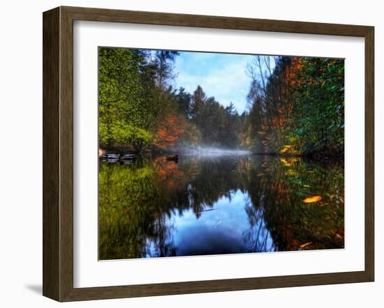 Nature 14-Brian Stevenson-Framed Photographic Print