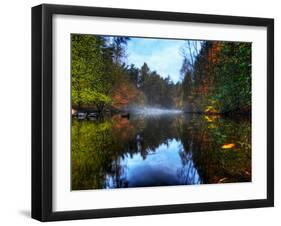 Nature 14-Brian Stevenson-Framed Photographic Print