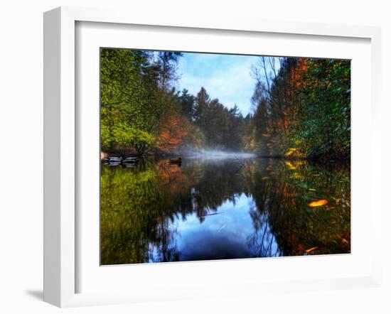 Nature 14-Brian Stevenson-Framed Photographic Print