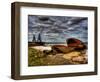 Nature 20-Brian Stevenson-Framed Photographic Print