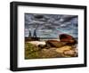 Nature 20-Brian Stevenson-Framed Photographic Print